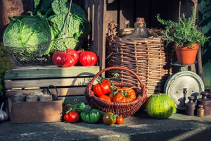 Сроки хранения овощей: в погребе, квартире, на балконе