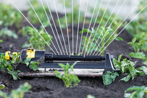 Автополив - применение автоматического и капельного полива для газона и сада